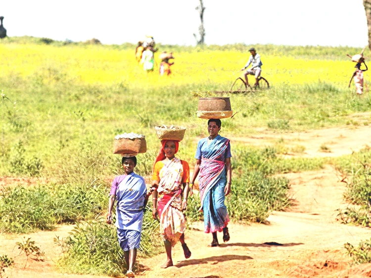 सरगुजा 0